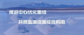 国度盐湖资源综合利用工程技术钻研中心第四届技术委员会会议召开